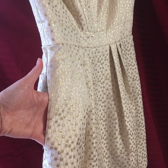 Shoshanna Isabella Sleeveless Cocktail/Party Dress, Size 8 - Picture 9 of 11